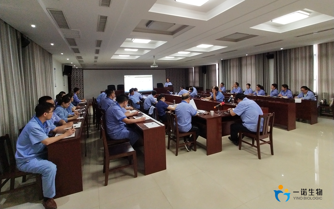 Summary Meeting of Shandong Yino in the First Half of 2019